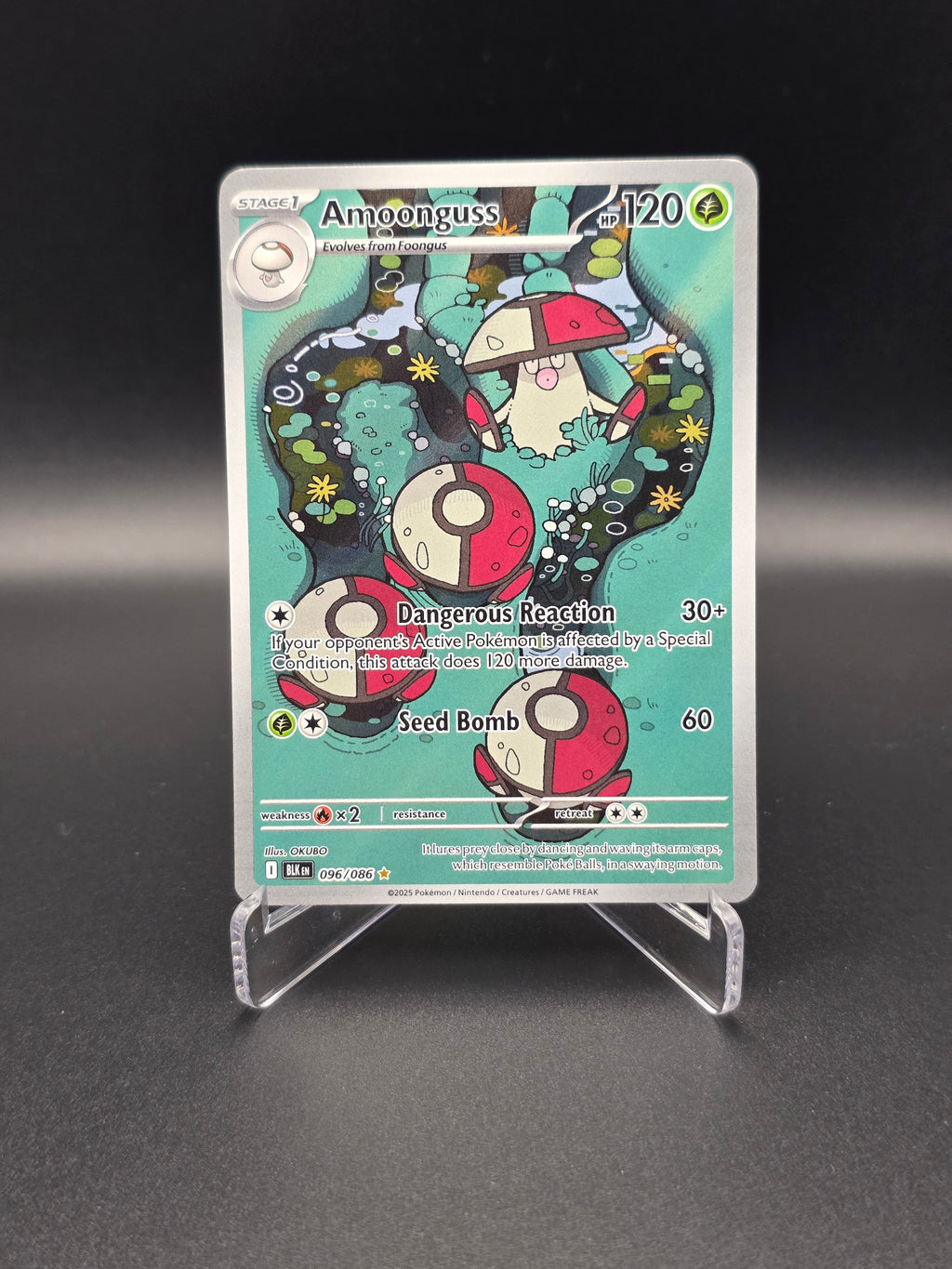 Amoongus - BLK - 096/086