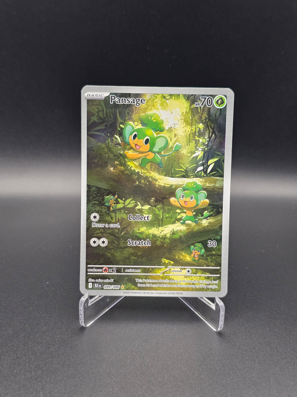 Pansage - BLK - 089/086 - NM