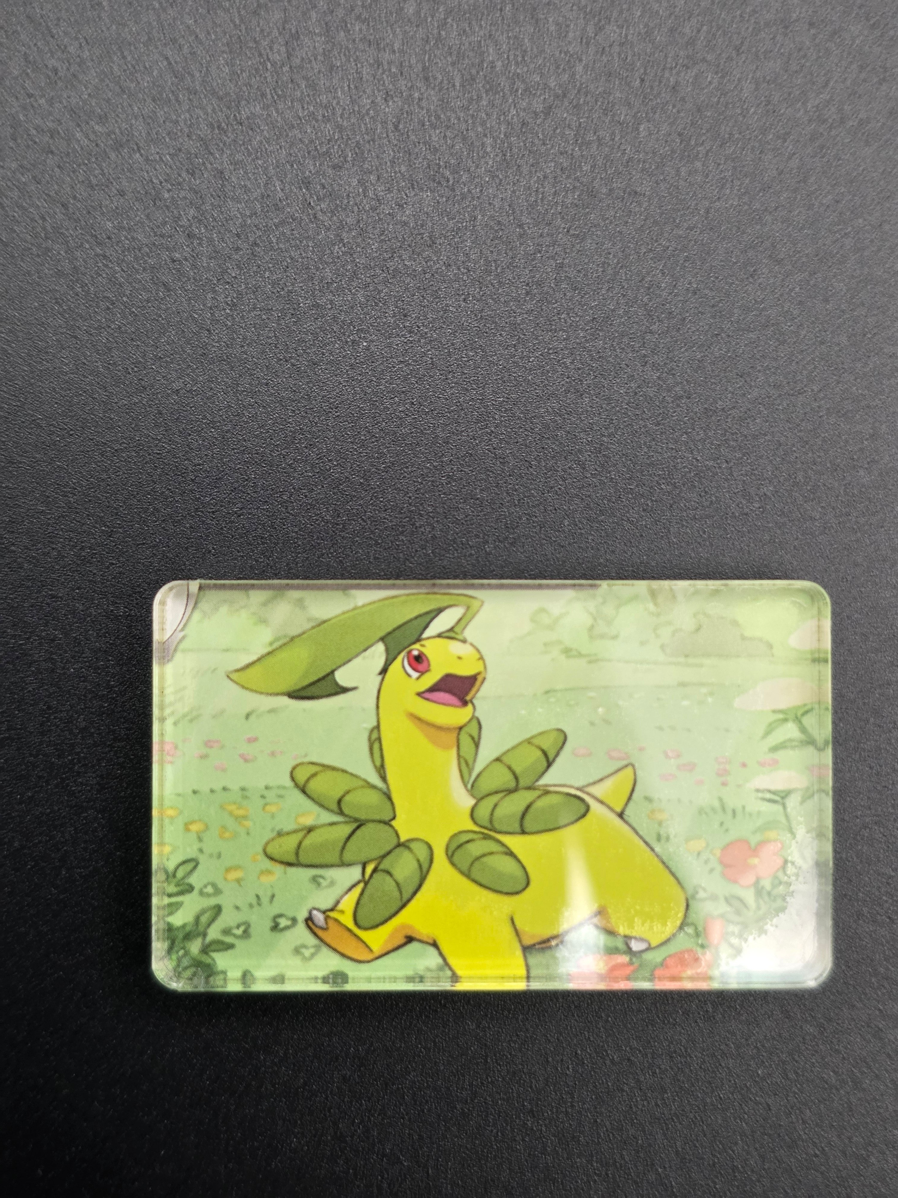 Bayleef (ASC)
