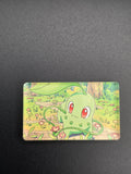 Chikorita (ASC)