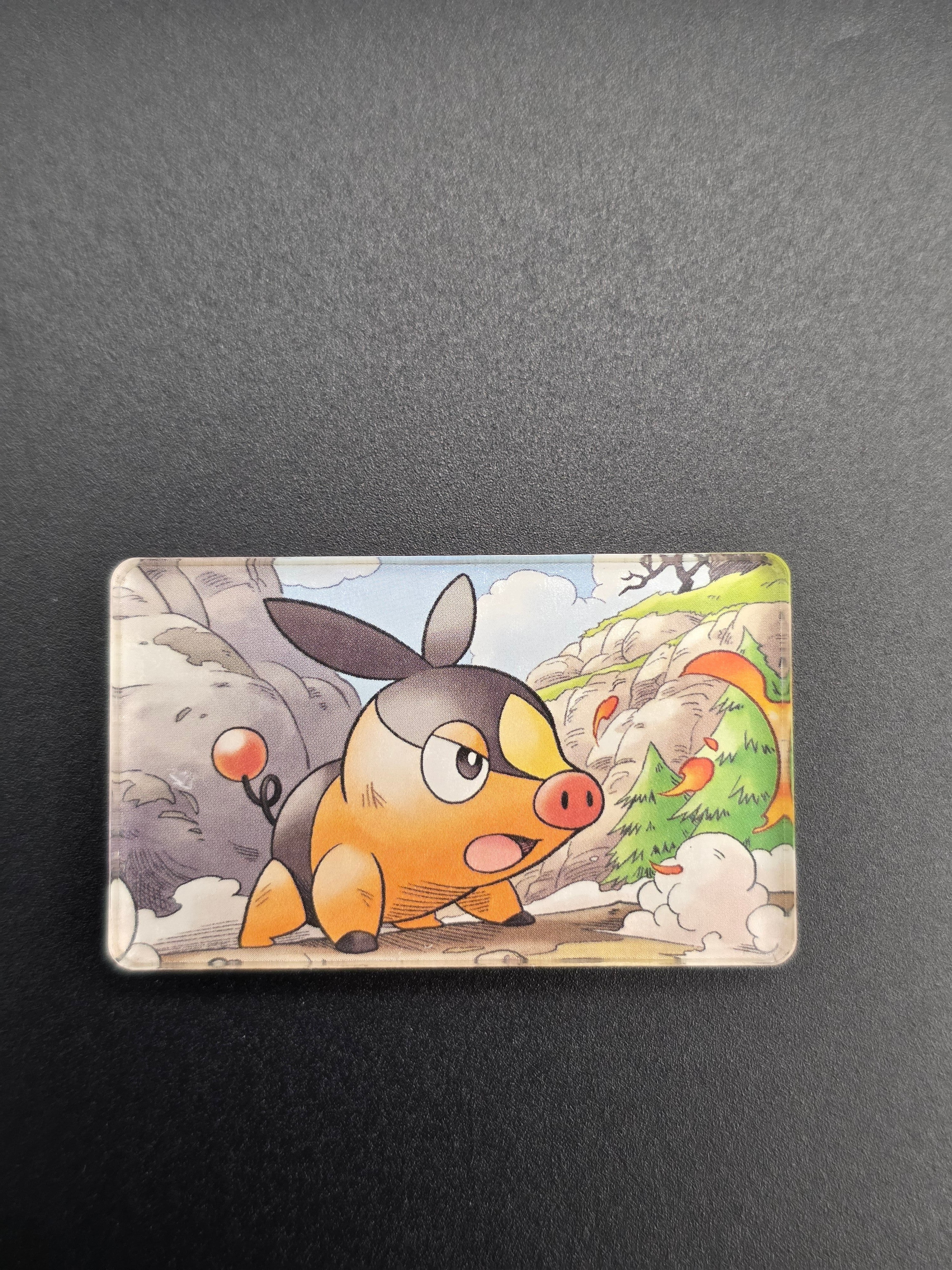 Tepig (ASC)